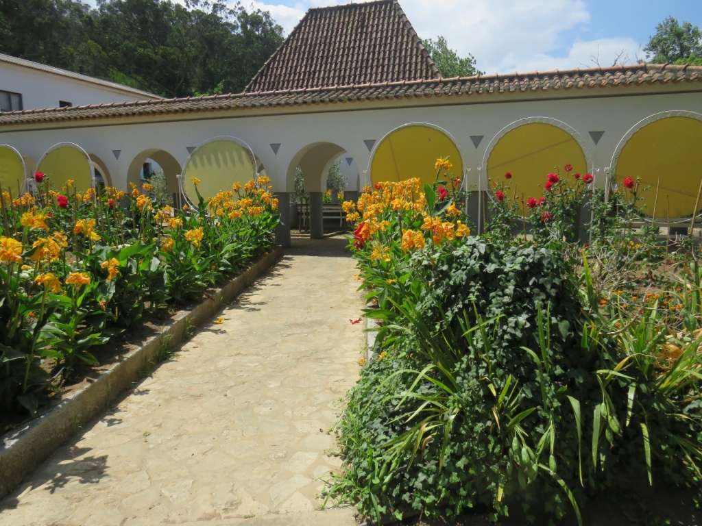 Village Camps International Summer Camp Santa Cruz, Portugal 2025-07-25 https://www.villagecamps.com/journals_admin/images/2010-9166-IMG_2207.jpg