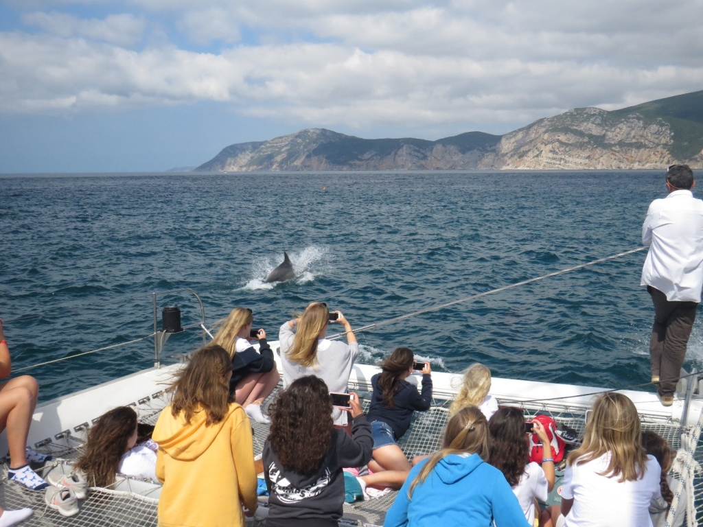 Village Camps International Summer Camp Santa Cruz, Portugal 2026-07-31 https://www.villagecamps.com/journals_admin/images/2014-1985-IMG_3462.jpg