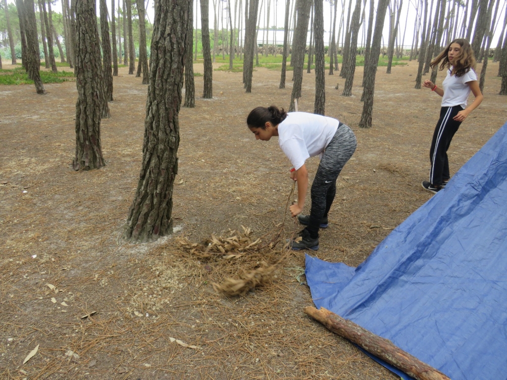 Village Camps International Summer Camp Santa Cruz, Portugal 2025-07-25 https://www.villagecamps.com/journals_admin/images/2075-7785-IMG_4433.jpg Village Camps International Summer Camp Santa Cruz, Portugal 2025-07-25 https://www.villagecamps.com/journals_admin/images/2075-7785-IMG_4433.jpg