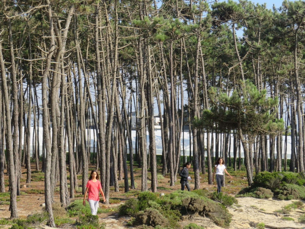 Village Camps International Summer Camp Santa Cruz, Portugal 2025-07-25 https://www.villagecamps.com/journals_admin/images/2075-7831-IMG_4480.jpg