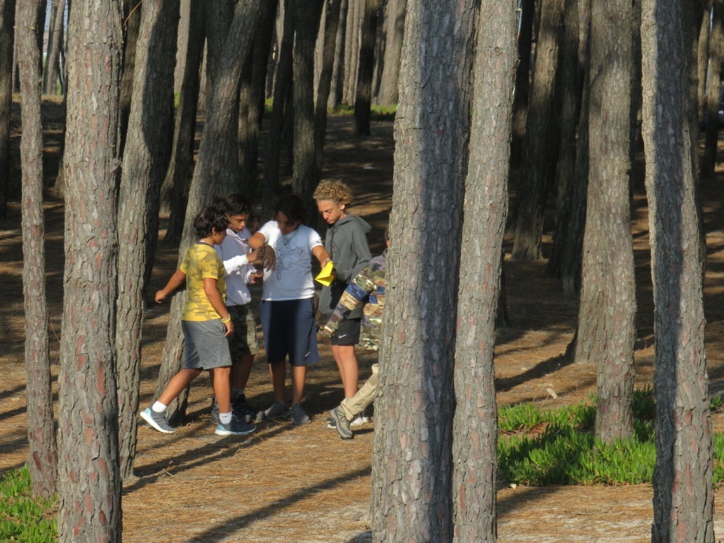 Village Camps International Summer Camp Santa Cruz, Portugal 2026-07-25 https://www.villagecamps.com/journals_admin/images/2075-7835-IMG_4483.jpg Village Camps International Summer Camp Santa Cruz, Portugal 2026-07-25 https://www.villagecamps.com/journals_admin/images/2075-7835-IMG_4483.jpg