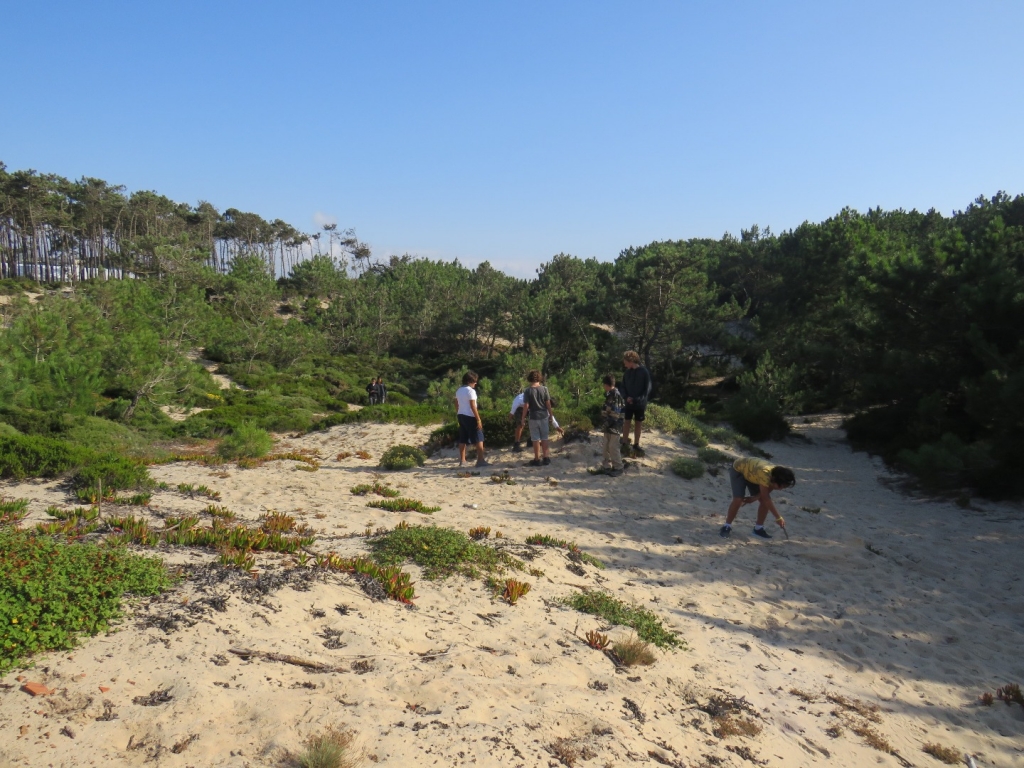 Village Camps International Summer Camp Santa Cruz, Portugal 2025-07-25 https://www.villagecamps.com/journals_admin/images/2075-7837-IMG_4489.jpg