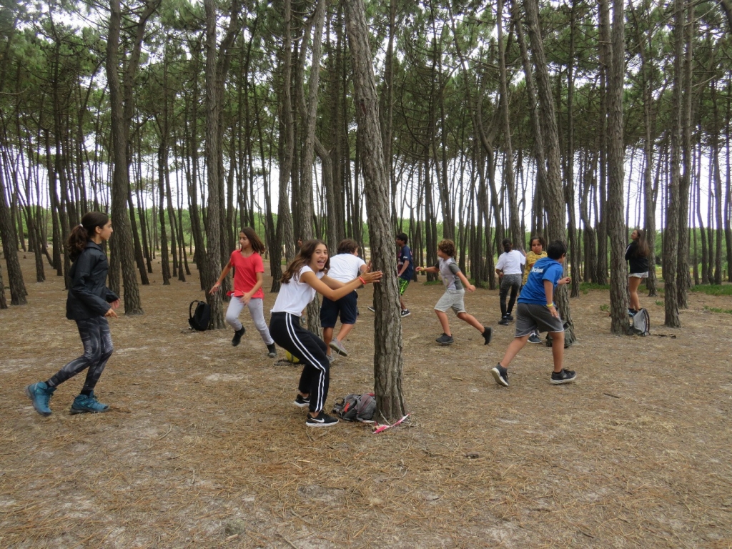 Village Camps International Summer Camp Santa Cruz, Portugal 2026-07-26 https://www.villagecamps.com/journals_admin/images/2075-7882-IMG_4411.jpg Village Camps International Summer Camp Santa Cruz, Portugal 2026-07-26 https://www.villagecamps.com/journals_admin/images/2075-7882-IMG_4411.jpg