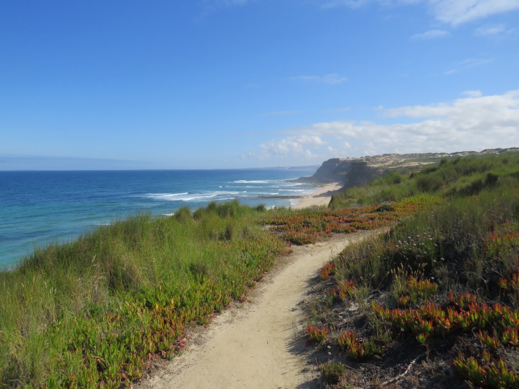 Village Camps International Summer Camp Santa Cruz, Portugal 2025-07-25 https://www.villagecamps.com/journals_admin/images/2077-1671-IMG_4536.jpg