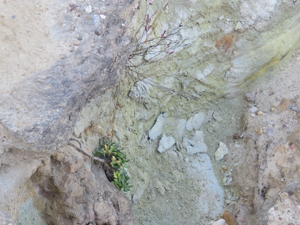 Village Camps International Summer Camp Santa Cruz, Portugal 2025-07-25 https://www.villagecamps.com/journals_admin/images/2077-1748-IMG_4612.jpg