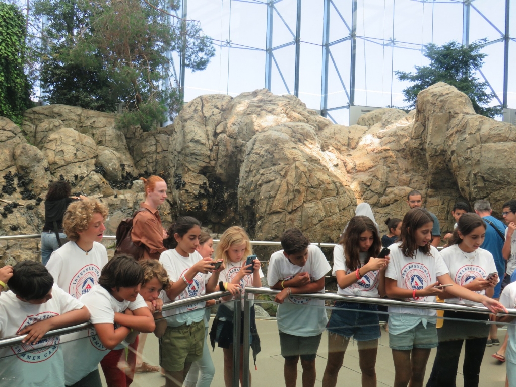 Village Camps International Summer Camp   https://www.villagecamps.com/journals_admin/images/2078-2648-IMG_4846.jpg