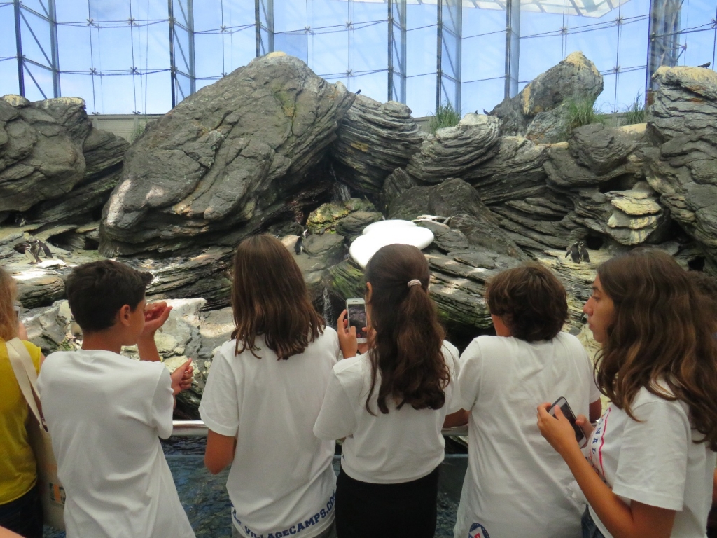 Village Camps International Summer Camp Santa Cruz, Portugal 2026-07-31 https://www.villagecamps.com/journals_admin/images/2078-2649-IMG_4839.jpg Village Camps International Summer Camp Santa Cruz, Portugal 2026-07-31 https://www.villagecamps.com/journals_admin/images/2078-2649-IMG_4839.jpg