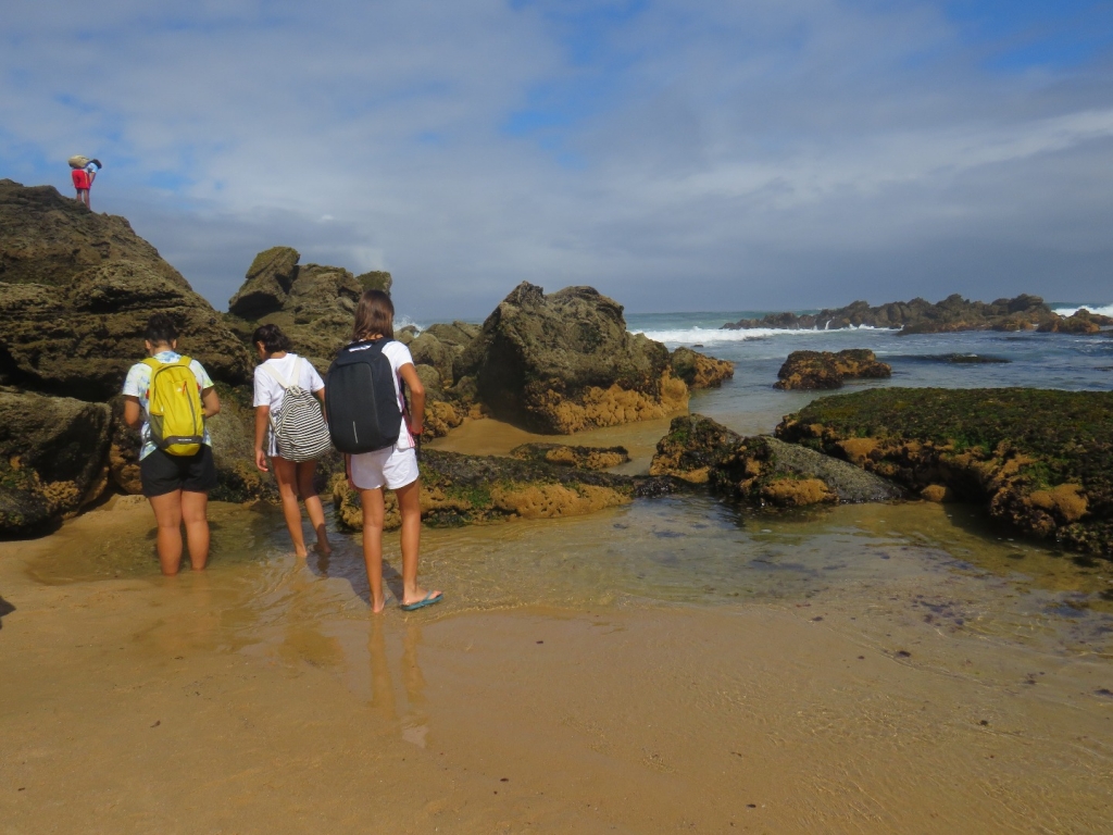 Village Camps International Summer Camp Santa Cruz, Portugal 2025-07-25 https://www.villagecamps.com/journals_admin/images/2079-2994-IMG_4927.jpg