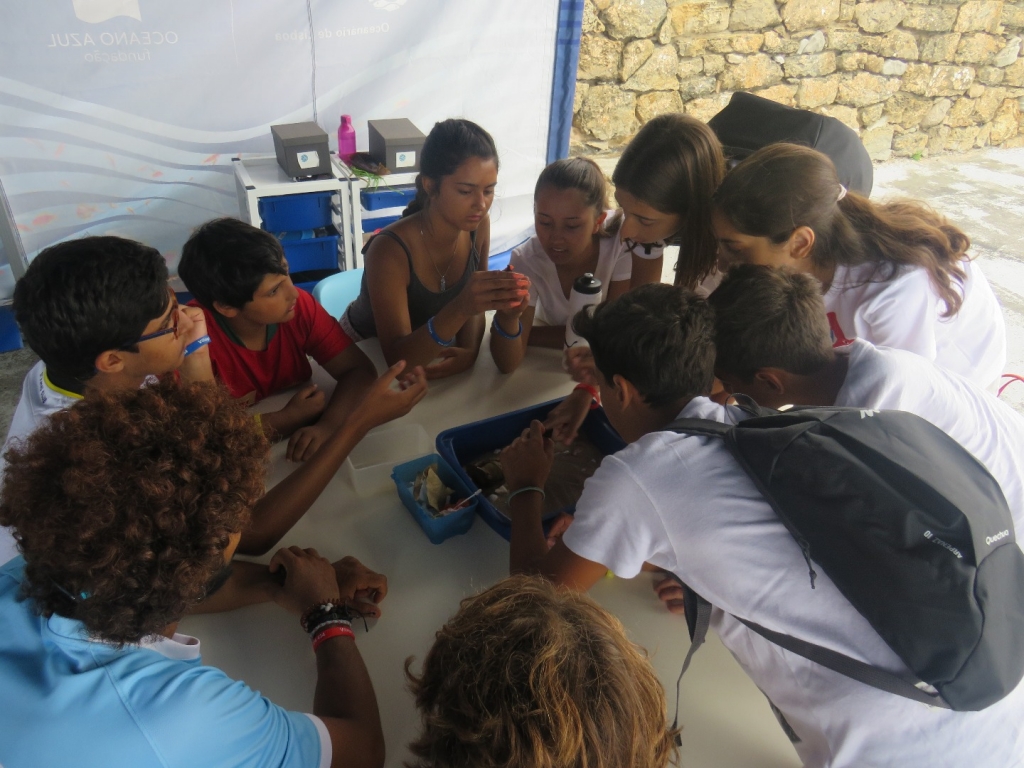 Village Camps International Summer Camp Santa Cruz, Portugal 2026-07-25 https://www.villagecamps.com/journals_admin/images/2079-3031-IMG_4991.jpg Village Camps International Summer Camp Santa Cruz, Portugal 2026-07-25 https://www.villagecamps.com/journals_admin/images/2079-3031-IMG_4991.jpg