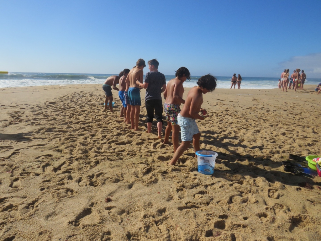 Village Camps International Summer Camp Santa Cruz, Portugal 2026-07-25 https://www.villagecamps.com/journals_admin/images/2081-7339-IMG_5748.jpg Village Camps International Summer Camp Santa Cruz, Portugal 2026-07-25 https://www.villagecamps.com/journals_admin/images/2081-7339-IMG_5748.jpg