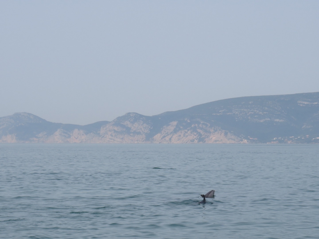 Village Camps International Summer Camp Santa Cruz, Portugal 2025-07-25 https://www.villagecamps.com/journals_admin/images/2084-2940-IMG_6105.jpg