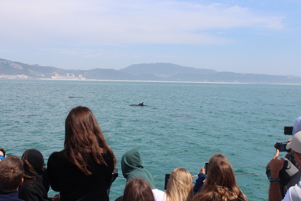 Village Camps International Summer Camp Santa Cruz, Portugal 2025-07-25 https://www.villagecamps.com/journals_admin/images/2192-8823-IMG_7671.jpg