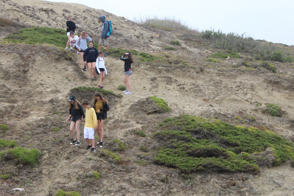 Village Camps International Summer Camp Santa Cruz, Portugal 2025-07-25 https://www.villagecamps.com/journals_admin/images/2253-1397-IMG_9621.jpg