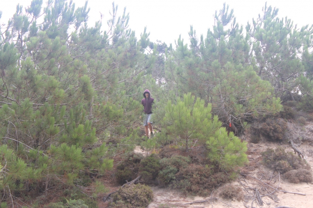 Village Camps International Summer Camp Santa Cruz, Portugal 2025-07-25 https://www.villagecamps.com/journals_admin/images/2258-0722-IMG_1269.jpg
