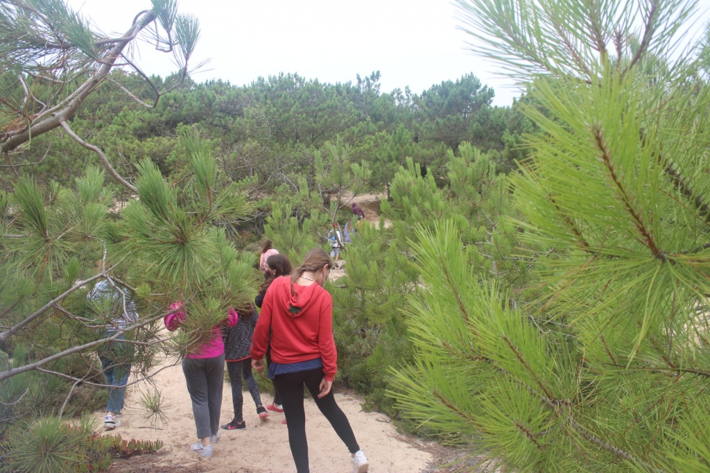 Village Camps International Summer Camp Santa Cruz, Portugal 2025-07-25 https://www.villagecamps.com/journals_admin/images/2258-8943-IMG_1243.jpg