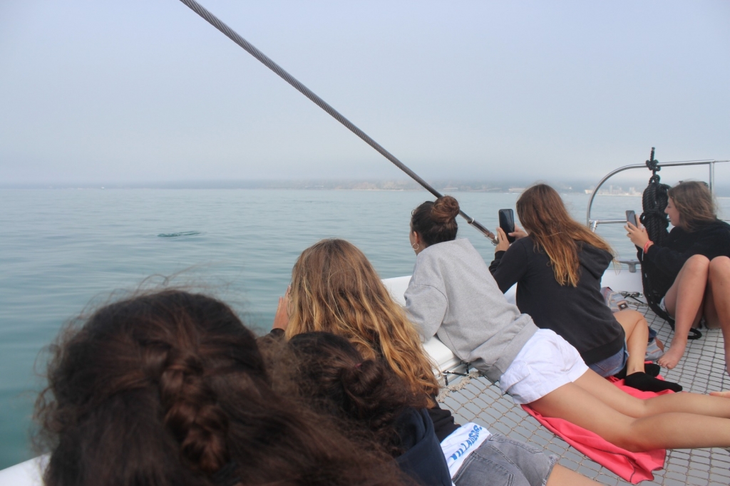Village Camps International Summer Camp Santa Cruz, Portugal 2025-07-25 https://www.villagecamps.com/journals_admin/images/2263-7927-IMG_2457.jpg