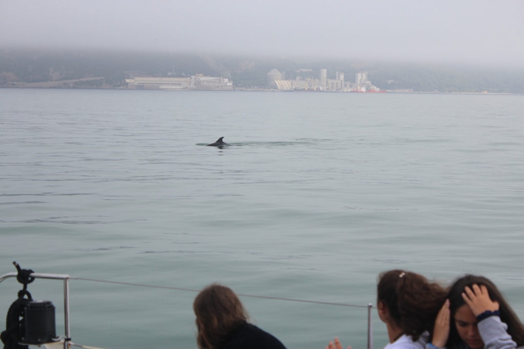 Village Camps International Summer Camp Santa Cruz, Portugal 2025-07-25 https://www.villagecamps.com/journals_admin/images/2263-7939-IMG_2486.jpg