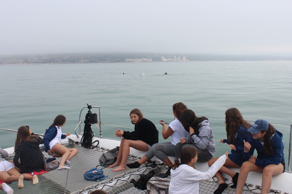 Village Camps International Summer Camp Santa Cruz, Portugal 2025-07-25 https://www.villagecamps.com/journals_admin/images/2263-7940-IMG_2487.jpg Village Camps International Summer Camp Santa Cruz, Portugal 2025-07-25 https://www.villagecamps.com/journals_admin/images/2263-7940-IMG_2487.jpg