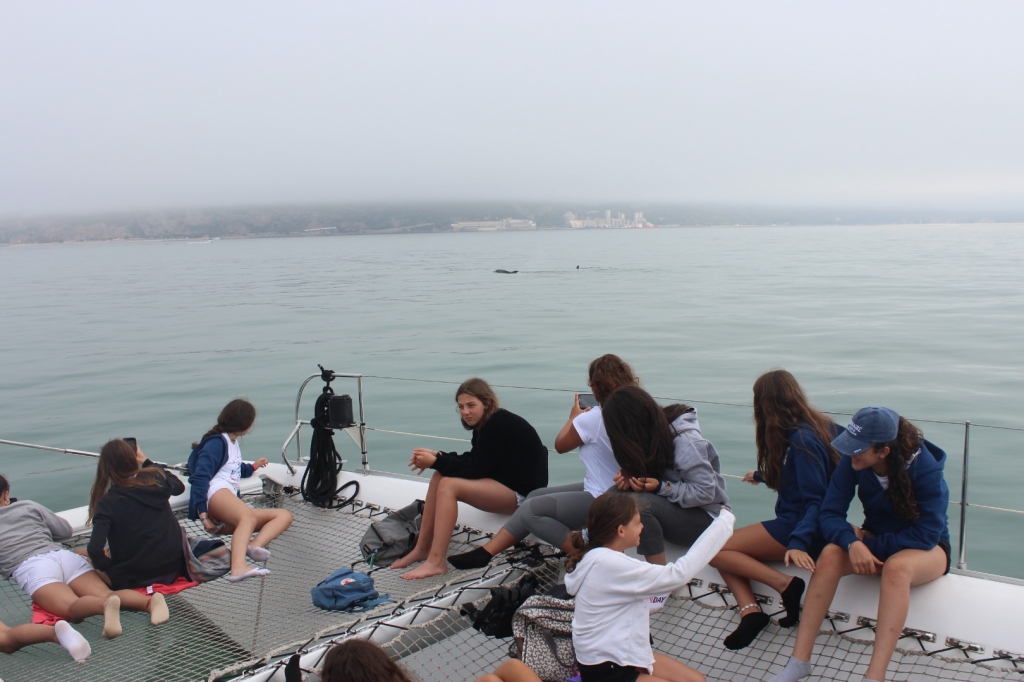 Village Camps International Summer Camp Santa Cruz, Portugal 2025-07-25 https://www.villagecamps.com/journals_admin/images/2263-7946-IMG_2488.jpg