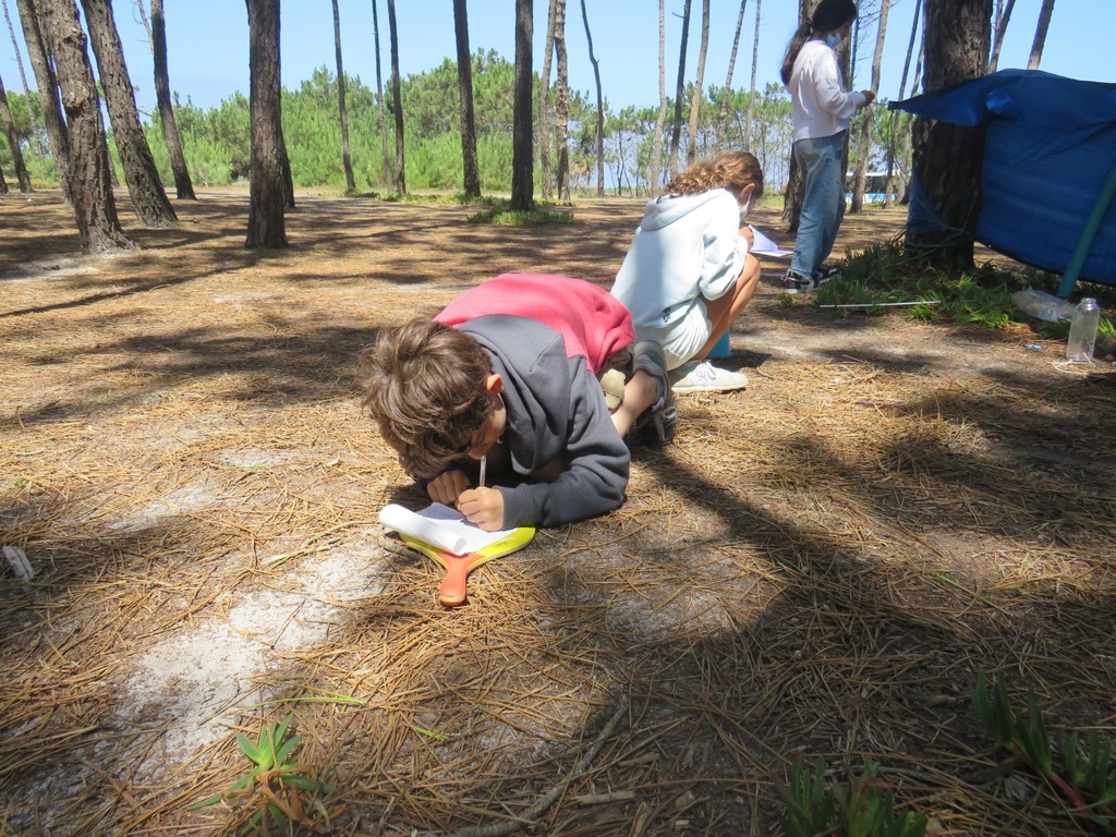 Village Camps International Summer Camp Santa Cruz, Portugal 2025-07-25 https://www.villagecamps.com/journals_admin/images/2365-5317-IMG_7445.jpg Village Camps International Summer Camp Santa Cruz, Portugal 2025-07-25 https://www.villagecamps.com/journals_admin/images/2365-5317-IMG_7445.jpg