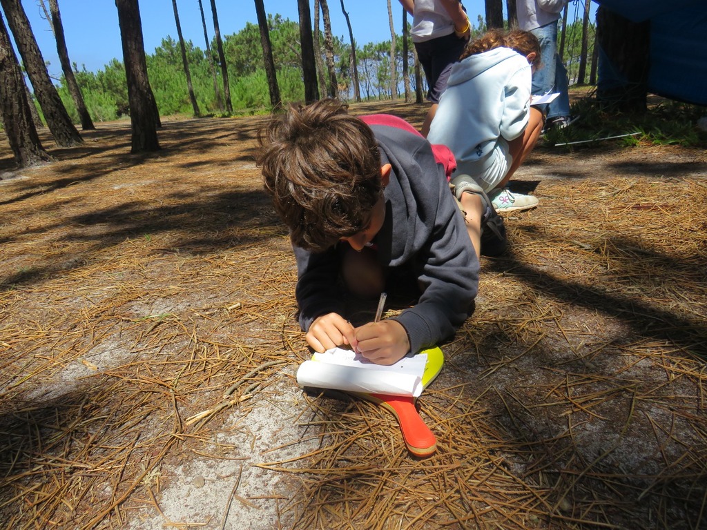 Village Camps International Summer Camp Santa Cruz, Portugal 2025-07-25 https://www.villagecamps.com/journals_admin/images/2365-5318-IMG_7446.jpg Village Camps International Summer Camp Santa Cruz, Portugal 2025-07-25 https://www.villagecamps.com/journals_admin/images/2365-5318-IMG_7446.jpg