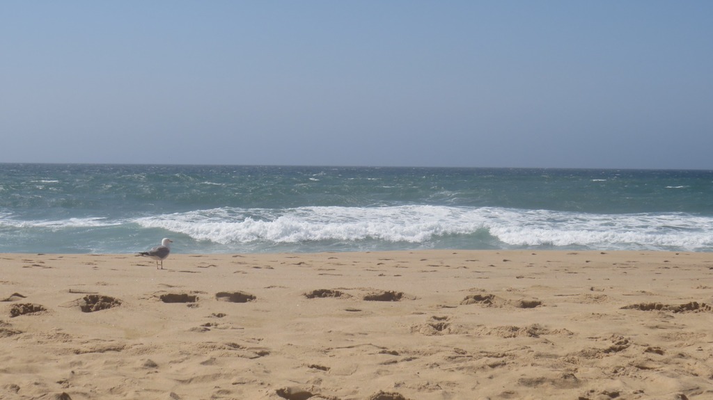 Village Camps International Summer Camp Santa Cruz, Portugal 2025-07-25 https://www.villagecamps.com/journals_admin/images/2365-5389-IMG_7537.jpg