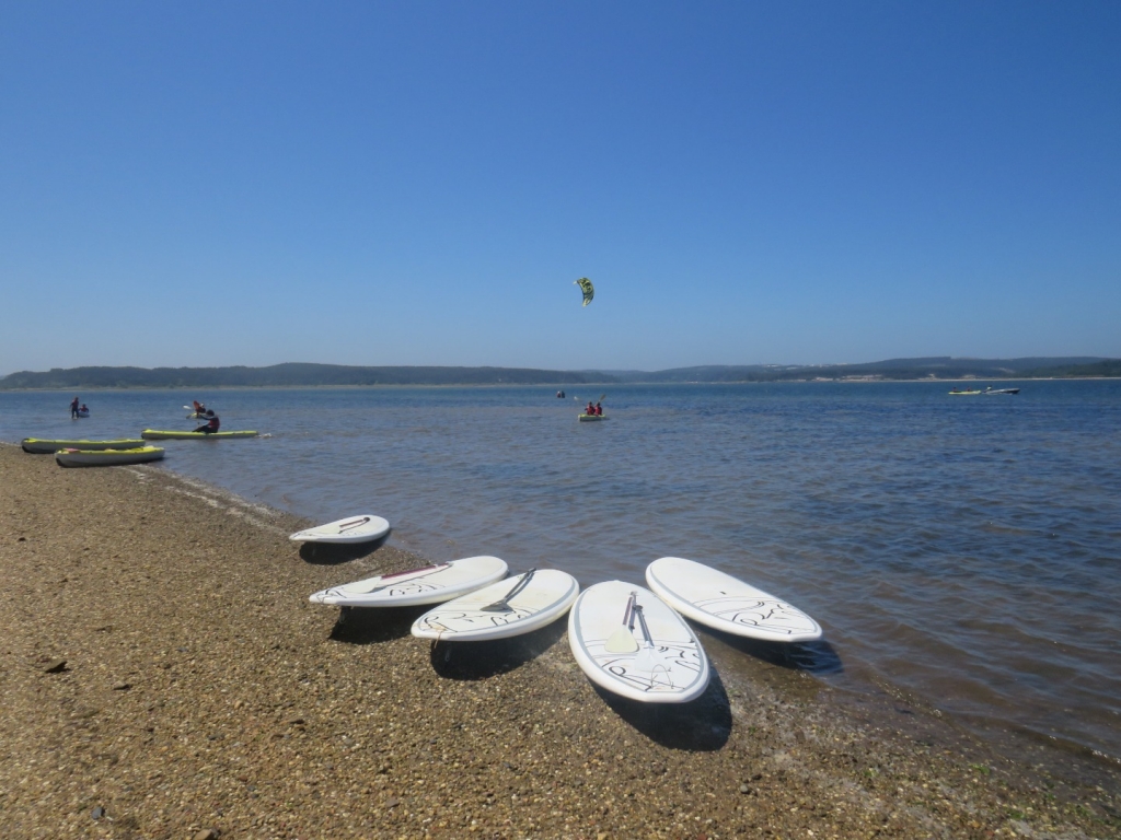 Village Camps International Summer Camp Santa Cruz, Portugal 2025-07-25 https://www.villagecamps.com/journals_admin/images/2370-0310-IMG_8709.jpg Village Camps International Summer Camp Santa Cruz, Portugal 2025-07-25 https://www.villagecamps.com/journals_admin/images/2370-0310-IMG_8709.jpg