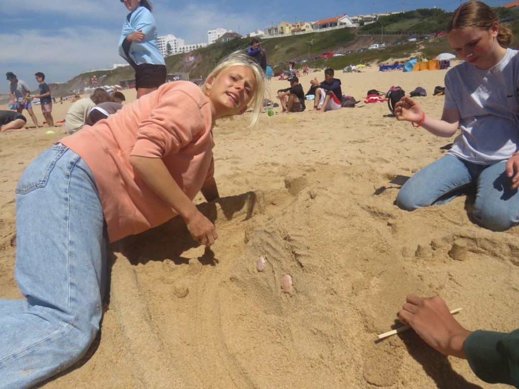 Village Camps International Summer Camp Santa Cruz, Portugal 2025-07-25 https://www.villagecamps.com/journals_admin/images/2370-0730-IMG_8809.jpg Village Camps International Summer Camp Santa Cruz, Portugal 2025-07-25 https://www.villagecamps.com/journals_admin/images/2370-0730-IMG_8809.jpg
