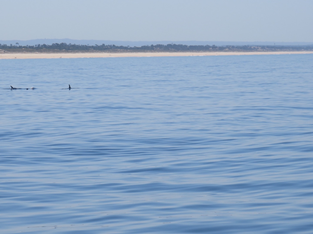 Village Camps International Summer Camp Santa Cruz, Portugal 2025-07-25 https://www.villagecamps.com/journals_admin/images/2371-4842-IMG_8906.jpg