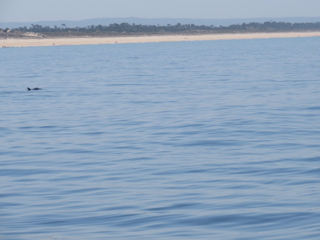 Village Camps International Summer Camp Santa Cruz, Portugal 2025-07-25 https://www.villagecamps.com/journals_admin/images/2371-4845-IMG_8907.jpg