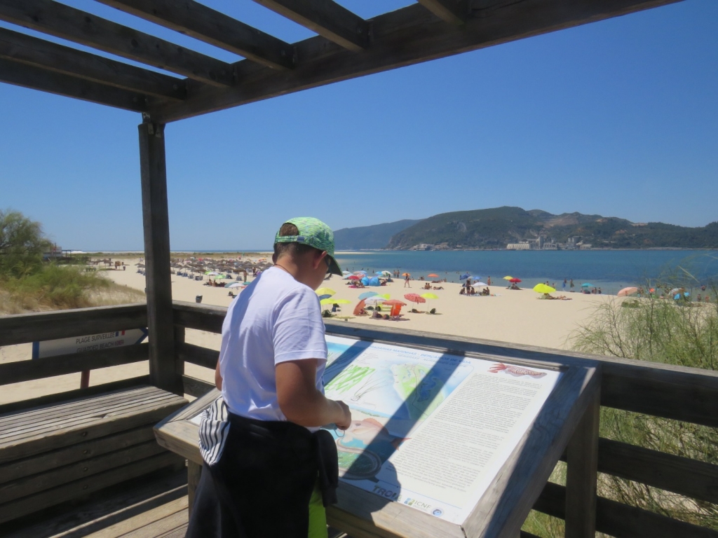 Village Camps International Summer Camp Santa Cruz, Portugal 2025-07-25 https://www.villagecamps.com/journals_admin/images/2371-4866-IMG_8943.jpg