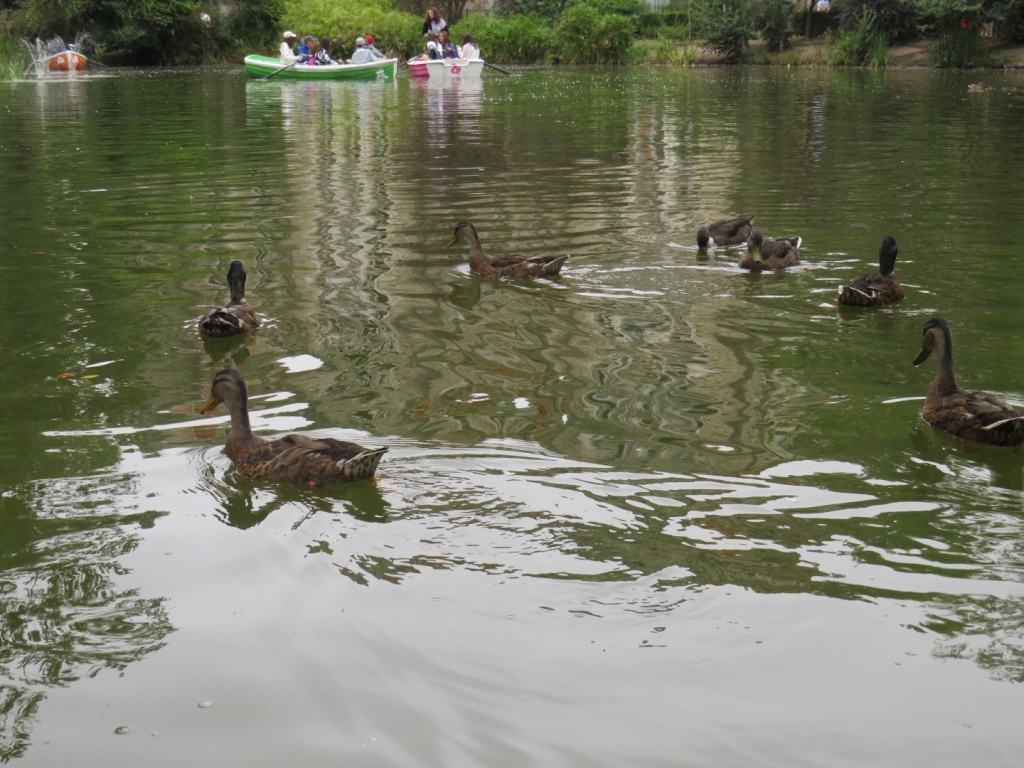 Village Camps International Summer Camp Santa Cruz, Portugal 2025-07-25 https://www.villagecamps.com/journals_admin/images/2421-3991-IMG_9584.jpg