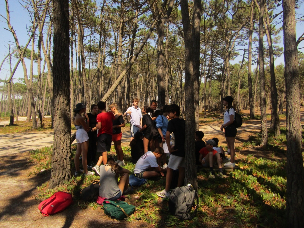Village Camps International Summer Camp Santa Cruz, Portugal 2025-07-25 https://www.villagecamps.com/journals_admin/images/2465-2522-IMG_0778.jpg