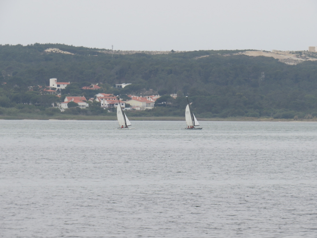 Village Camps International Summer Camp Santa Cruz, Portugal 2025-07-25 https://www.villagecamps.com/journals_admin/images/2469-3446-IMG_3720.jpg