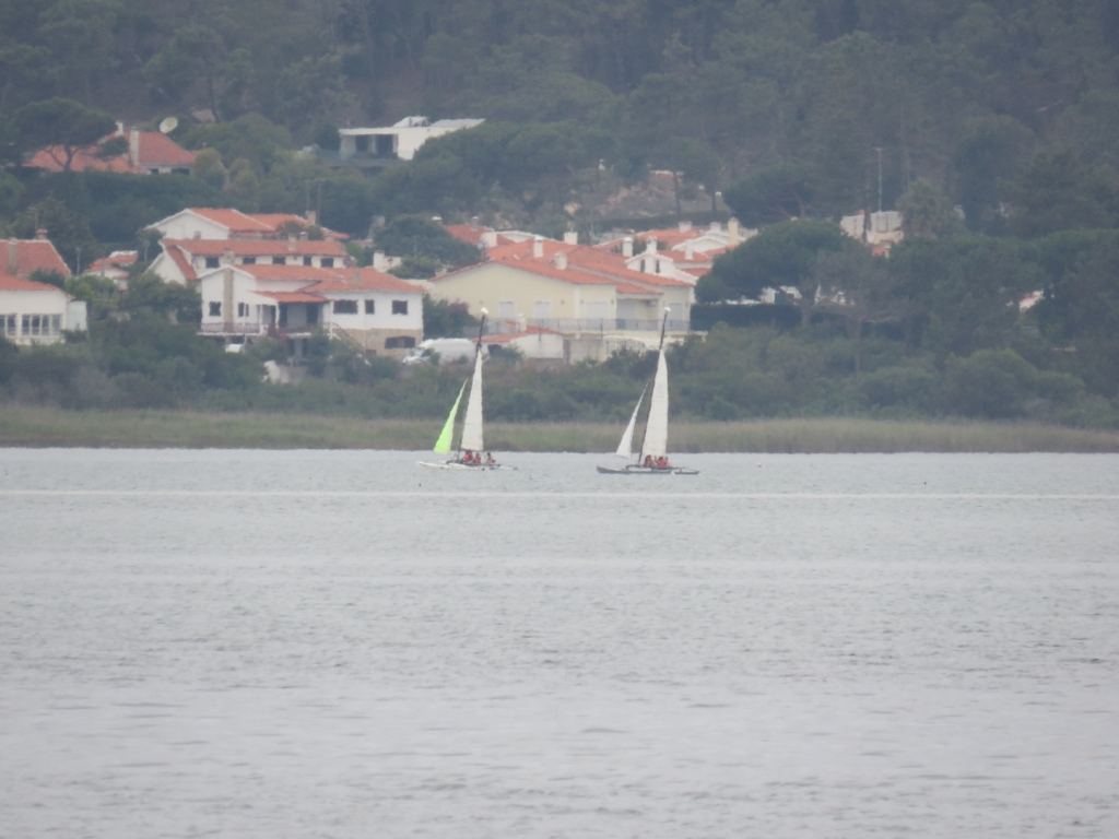 Village Camps International Summer Camp Santa Cruz, Portugal 2025-07-25 https://www.villagecamps.com/journals_admin/images/2469-3469-IMG_3753.jpg