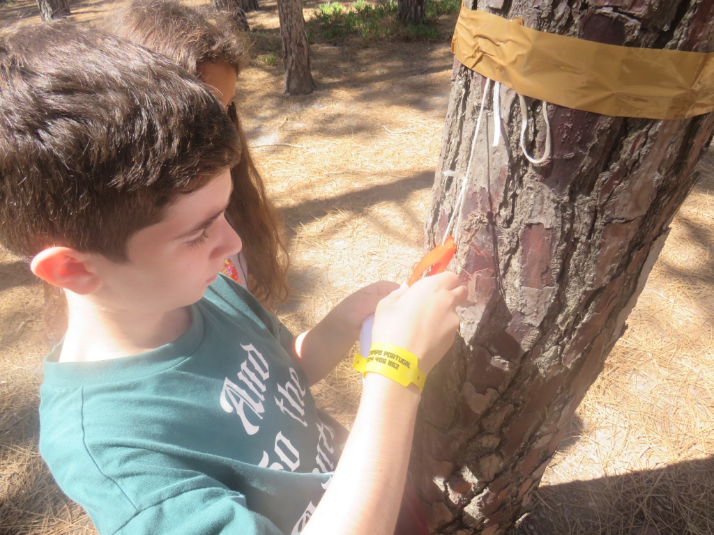 Village Camps International Summer Camp Santa Cruz, Portugal 2026-07-31 https://www.villagecamps.com/journals_admin/images/2510-9805-IMG_5326.jpg Village Camps International Summer Camp Santa Cruz, Portugal 2026-07-31 https://www.villagecamps.com/journals_admin/images/2510-9805-IMG_5326.jpg