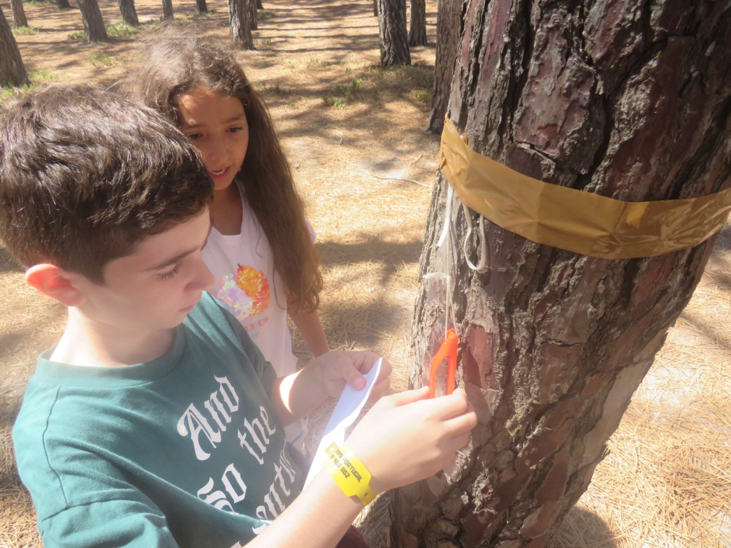 Village Camps International Summer Camp Santa Cruz, Portugal 2026-07-25 https://www.villagecamps.com/journals_admin/images/2510-9807-IMG_5327.jpg Village Camps International Summer Camp Santa Cruz, Portugal 2026-07-25 https://www.villagecamps.com/journals_admin/images/2510-9807-IMG_5327.jpg