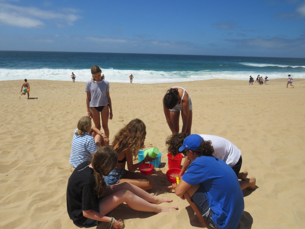 Village Camps International Summer Camp Santa Cruz, Portugal 2025-07-25 https://www.villagecamps.com/journals_admin/images/2529-0360-IMG_5961.jpg Village Camps International Summer Camp Santa Cruz, Portugal 2025-07-25 https://www.villagecamps.com/journals_admin/images/2529-0360-IMG_5961.jpg