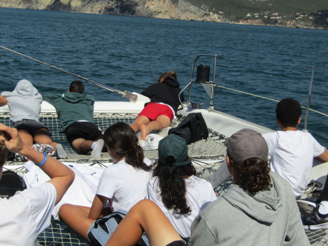 Village Camps International Summer Camp Santa Cruz, Portugal 2025-07-25 https://www.villagecamps.com/journals_admin/images/2550-0600-IMG_0441.jpg Village Camps International Summer Camp Santa Cruz, Portugal 2025-07-25 https://www.villagecamps.com/journals_admin/images/2550-0600-IMG_0441.jpg