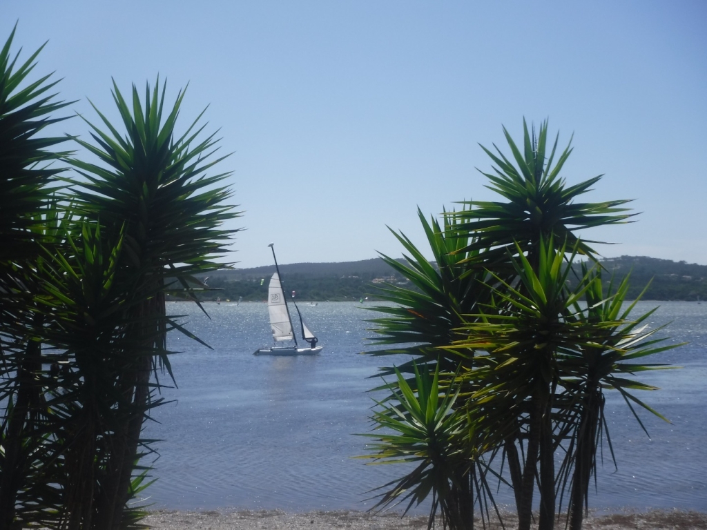 Village Camps International Summer Camp Santa Cruz, Portugal 2025-07-25 https://www.villagecamps.com/journals_admin/images/2562-4377-DSCF7077.jpg