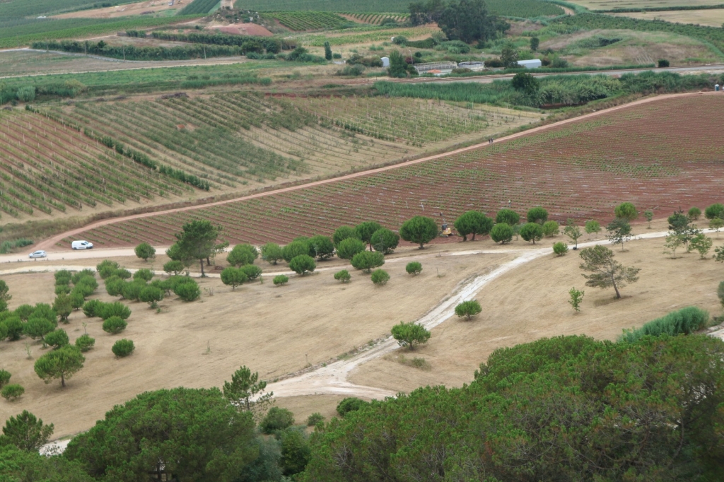 Village Camps International Summer Camp Santa Cruz, Portugal 2025-07-25 https://www.villagecamps.com/journals_admin/images/2562-4402-IMG_0059.jpg