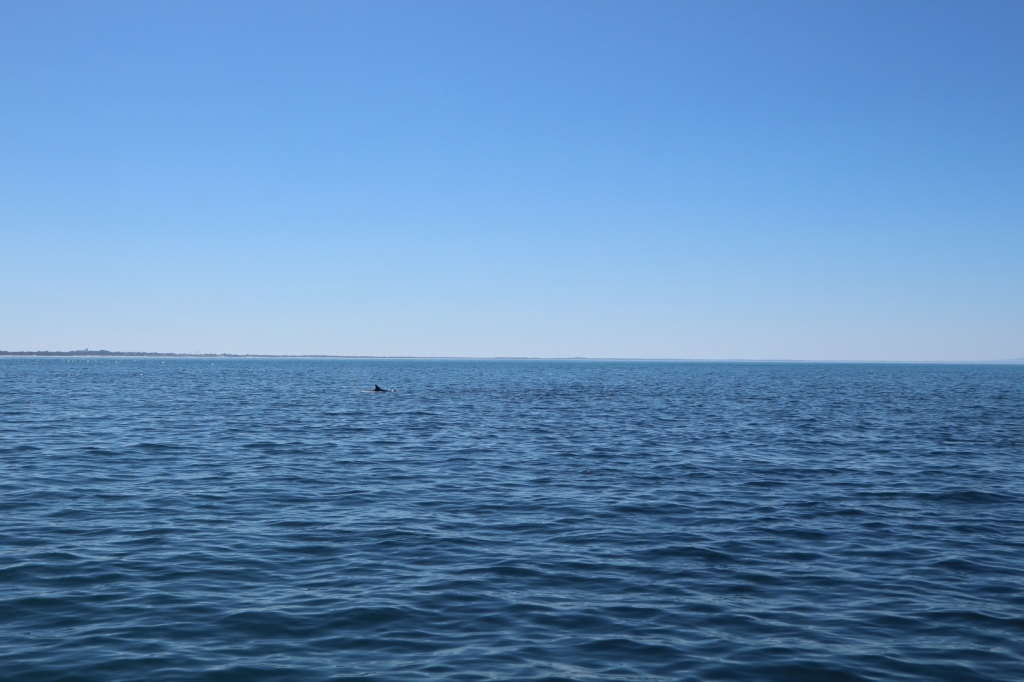 Village Camps International Summer Camp Santa Cruz, Portugal 2025-07-25 https://www.villagecamps.com/journals_admin/images/2564-1407-IMG_1250.jpg