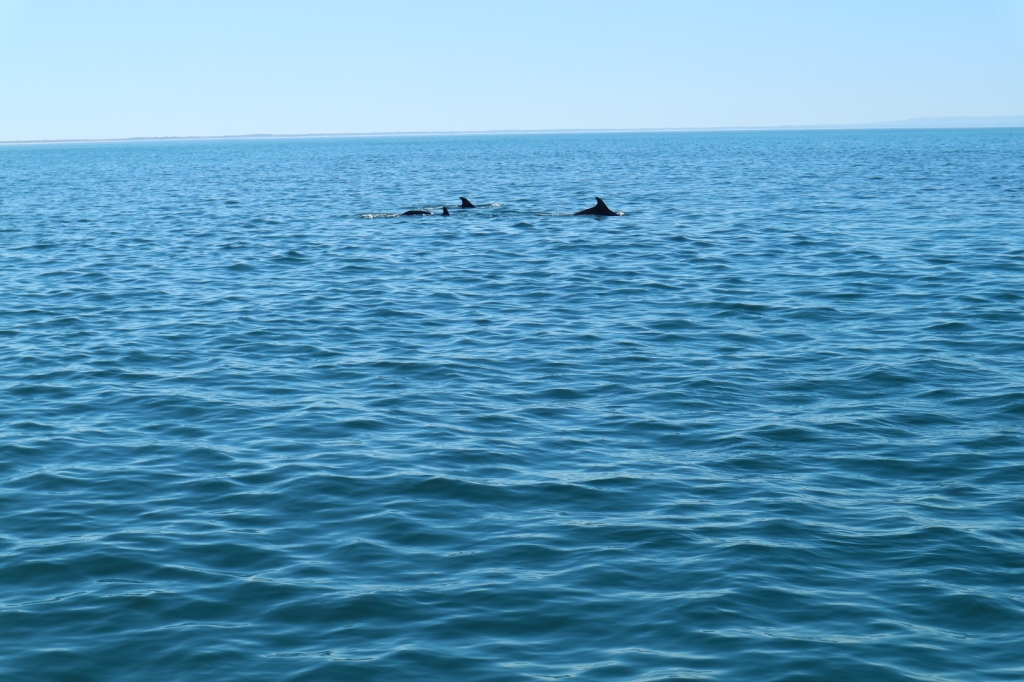 Village Camps International Summer Camp Santa Cruz, Portugal 2025-07-25 https://www.villagecamps.com/journals_admin/images/2564-1411-IMG_1257.jpg