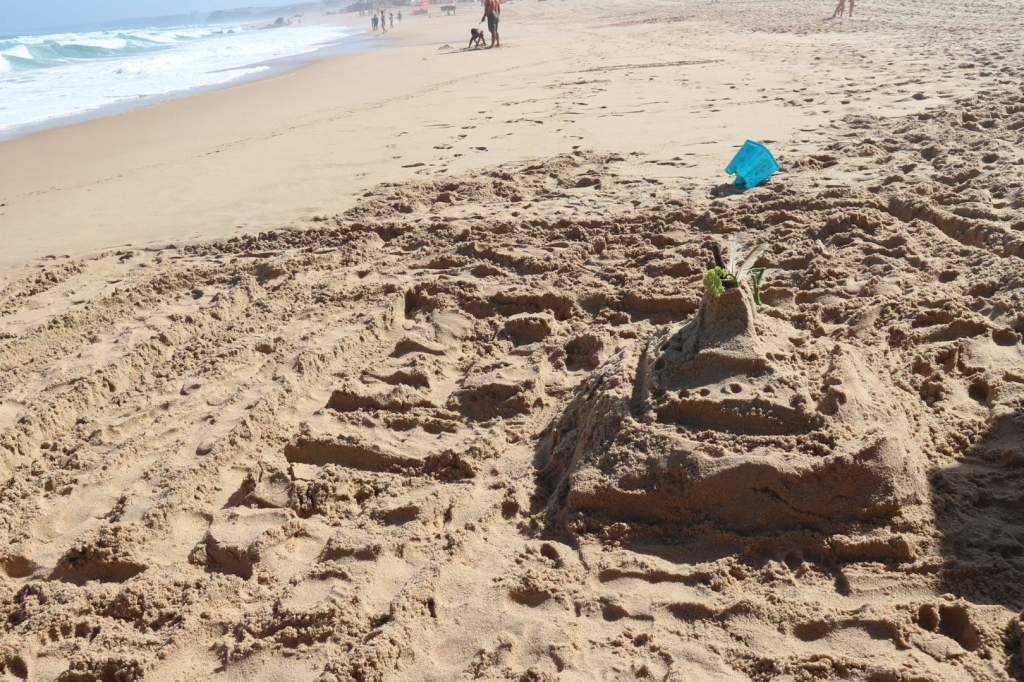 Village Camps International Summer Camp Santa Cruz, Portugal 2025-07-25 https://www.villagecamps.com/journals_admin/images/2676-0813-IMG_5981.jpg