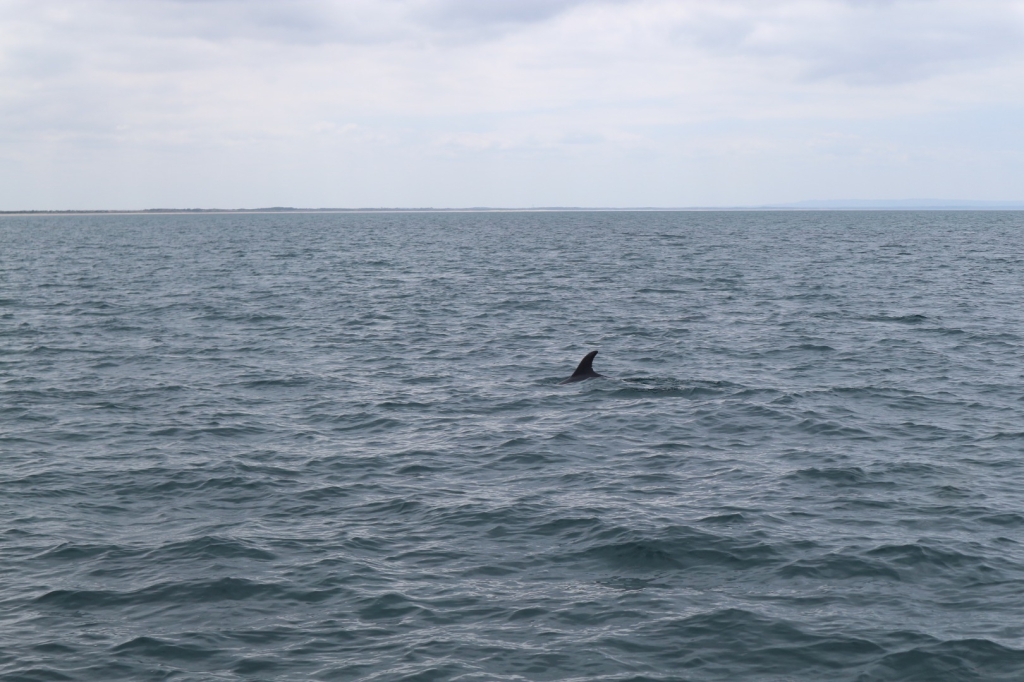 Village Camps International Summer Camp Santa Cruz, Portugal 2025-07-25 https://www.villagecamps.com/journals_admin/images/2677-5363-IMG_6464.jpg