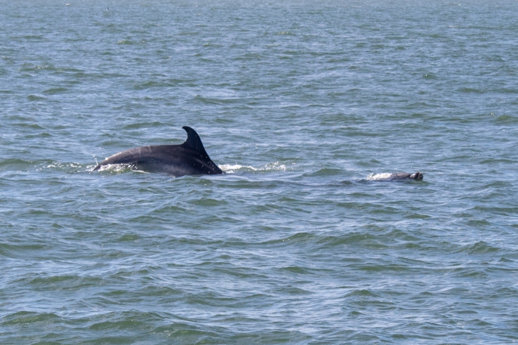 Village Camps International Summer Camp Santa Cruz, Portugal 2025-07-25 https://www.villagecamps.com/journals_admin/images/2756-9180-VC_2024_07_20-14.jpg