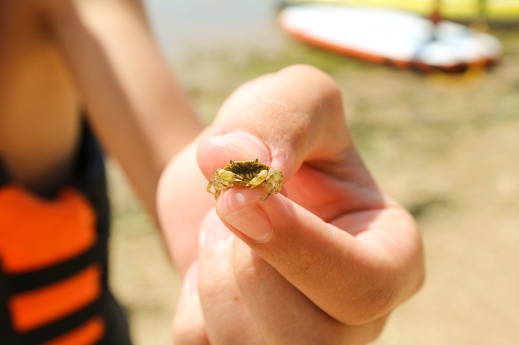 Village Camps International Summer Camp Santa Cruz, Portugal 2025-07-25 https://www.villagecamps.com/journals_admin/images/2881-8793-IMG_6850.jpg