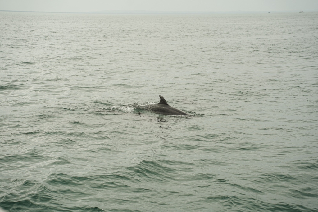 Village Camps International Summer Camp Santa Cruz, Portugal 2025-07-25 https://www.villagecamps.com/journals_admin/images/2887-4607-DSC07237.jpg