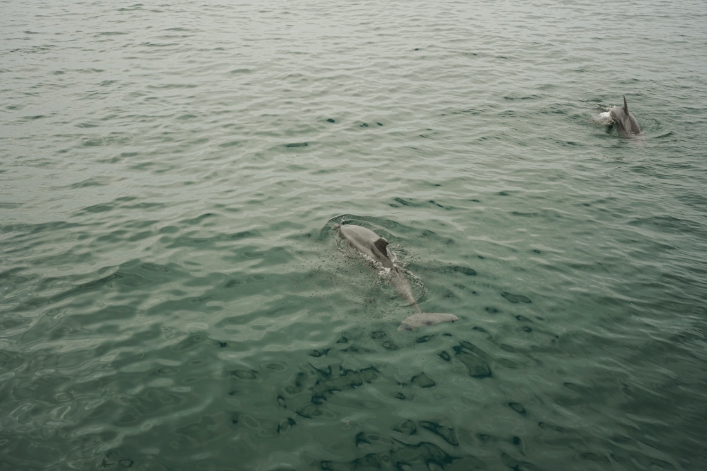 Village Camps International Summer Camp Santa Cruz, Portugal 2025-07-25 https://www.villagecamps.com/journals_admin/images/2887-4651-DSC07277.jpg