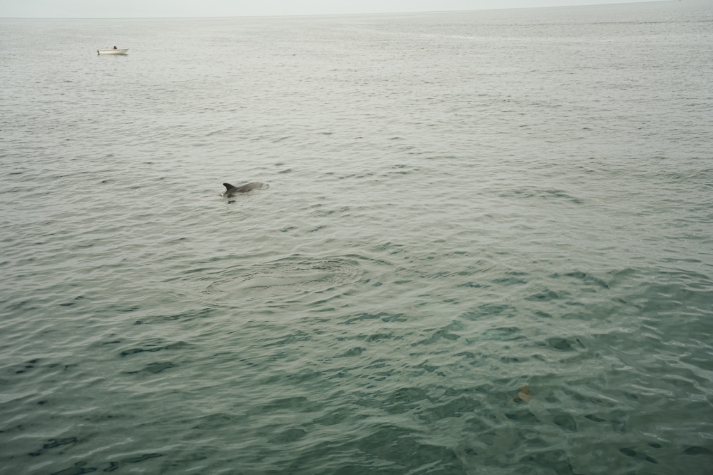 Village Camps International Summer Camp Santa Cruz, Portugal 2025-07-25 https://www.villagecamps.com/journals_admin/images/2887-4652-DSC07273.jpg